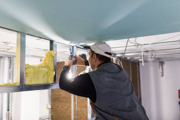 Best Residential Insulation in Severance, CO