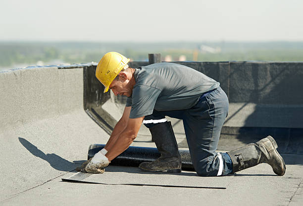 Best Insulation Maintenance and Repair in Severance, CO